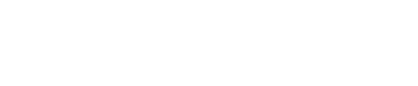 世界標準 Efektaを